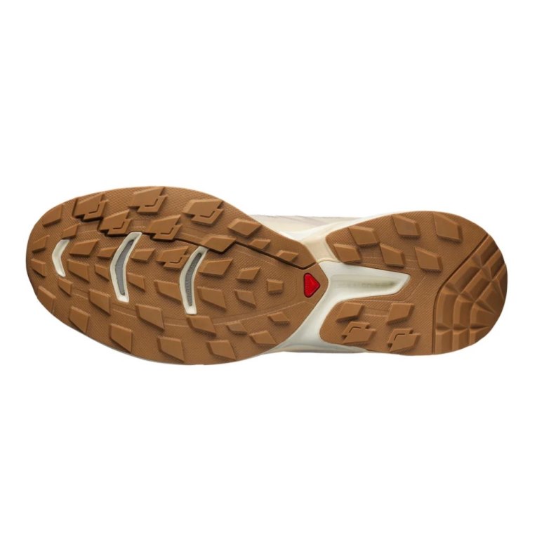 Tenis Salomon Xt-wings 2 Hombre Beige | MX BWIY638